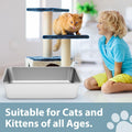 WENBOKMIN Stainless Steel Cat Litter Box - Litter Box for Cats - Easy to Clean, Never Absorbs Odor, Stains, or Rusts - Silver (17.7" L x 13.5" W x 4" H)