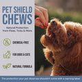 BioPower Pet Shield Chews - Natural Flea & Tick Prevention for Dogs & Cats - Chemical-Free Chewable Supplement, Brewer’s Yeast & Garlic Formula - 240 Soft Chews