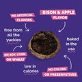 Fruitables Whole Jerky Bites, Healthy Dog Treats, Puppy Essentials, Jerky Dog Treats, Made in the USA, No Artificial Ingredients, Grilled Bison & Apple Flavor, 5oz