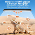 MIXJOY T5 HO UVB Reptile Light Kit, 22Inch 24W 10.0 Bulb for Bearded Dragon