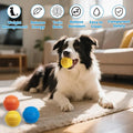 HORHIZA 3 Pack Dog Balls, Bite Resistant Elastic Balls for Dogs, Durable Rubber,Interactive Training Ball Dog Toy for 20-60 lbs,2.5-inch Diameter