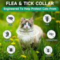 4 Pack Cat Flea Collars, Cat Flea and Tick Treatment, 32 Months Protection Flea and Tick Prevention for Cats, Waterproof Flea Collar for Cats, One Size Fits All for All Breeds, Grey