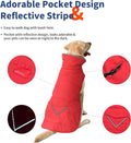 Petglad Waterproof Dog Winter Coat with Pocket, Fleece Snow Vest for Dogs