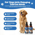 Taurine Liquid Supplement for Dogs, Heart & Muscle Function, Energy Balance