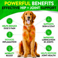 Hemp Hip and Joint Supplement for Dogs - Glucosamine for Dogs - 170 Dog Joint Pain Relief Treats - Chondroitin, Hemp Oil, MSM - Mobility & Flexibility Support - Advanced Care Health - Made in USA
