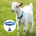 4 Pack Sheep Grazing Copper Bells & Adjustable Nylon Collar Set