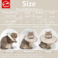 Agape Comfortable Cat Cone - Lightweight Soft Recovery Collar for Cats After Surgery - Protective E-Collar for Small, Medium, and Large Cats - Stops Licking & Scratching for Wound Care