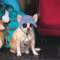Jadive Small Dog Sun Hat with Ear Holes Dog Sunglasses