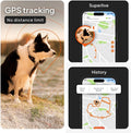 Weenect Dog XT - NEW GPS Collar for Dogs | XL Antenna | Waterproof | Ultra-Durable Integrated Julius-K9 Collar | Subscription Required