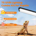 T5 UVB Reptile Light Fixture Combo Kit 8W 10.0 – Complete HO UVB Light for Reptiles with 12.44" Terrarium Hood, Desert U