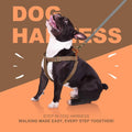 Didog Step in Dog Harnes for Small Dogs, Brown, S, Chest 14-22"
