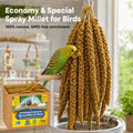 5lbs Economy & Special Spray Millet for Birds – GMO-Free, No Stems (Only Edible Tops) – 100% Natural Sun-Dried Foraging Treat for Cockatiels, Lovebirds, Parakeets, Finches & Canaries