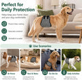Belly Bands for Male Dogs, Washable Diapers with Buckles