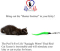 Pet Fit For Life Cat Wand Toy, 5-Piece Worm Teaser & Exerciser