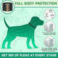 Woyamay 4 Pack Flea Collar for Dogs, Flea and Tick Prevention for Dogs, 32 Months Dog Flea and Tick Treatment, Adjustable Dog Flea Collars, Dog Flea Treatment Collar, Flea Treatment for Dogs, Black