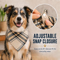 Adjustable Dog Bandana, Beige & Navy Plaid