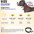 Crazy Felix No Pull Dog Collar, Hidden Martingale Training Collar
