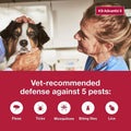 K9 Advantix II Flea & Tick Topical for Large Dogs 21–55 lbs., 2ct