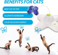 AFP Interactive Cat Toy, Butter-Fly Interactive for Indoor Cats, Flutter Bug Cat Toys, Flutter Rotating Kitten Toys with