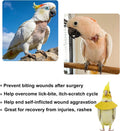 Anti-Bite Elizabethan Collar for Budgerigar Lovebird Cockatiel Cockatoo Parrots Hamster, Recovery Cone Bird Collar, Anti