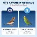 Prevue Pet Products Parakeet Square Roof Bird Cage with Handle - Carrier for Home or Travel, Small Bird Accessories, Easy Storage, for Canaries, Budgies, Finches, Parakeets, and More - Blue & White