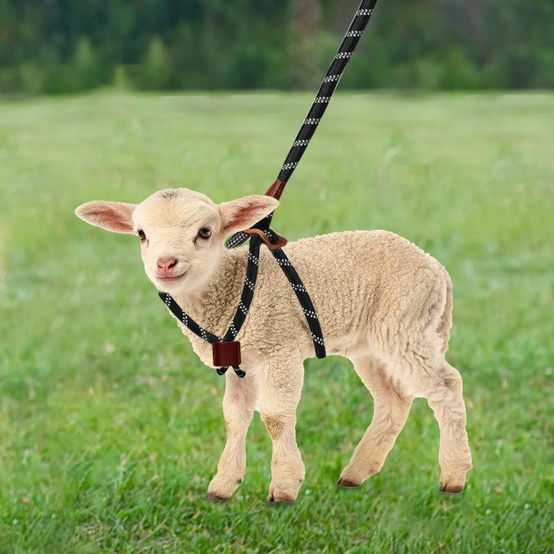 Goat Harness & Leash, Adjustable Step-in Sheep Harness, Goat Accessories, Livestock Halter Supplies for Goats and Sheep