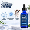 NAD+ Supplement for Senior Dogs, Small Dogs