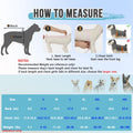 Lukovee Recovery Suit for Dogs, Spay Neuter Surgery Suit, Female Male, S