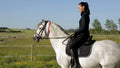 ALZOO Fly Collar for Horses, Up to 4 Weeks