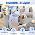 SlowTon Dog Surgery Recovery Suit, Dog Onesie for Female Male Spay Neuter
