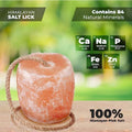 ZK Himalayan Salt Lick for Horses, Livestock– (3-4 lbs) (Pack of 3 Natural Mineral Salt Block for Goats, Cattle & Deer w