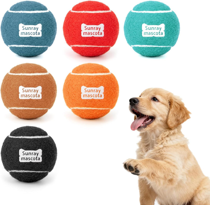 Sunraymascota 6-Pack Tennis Balls for Dogs Fetch Toys,for Beginner Practice