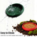 12-Pack Small Feeding Dish for Reptiles, Colorful Feeder Bowls for Isopods, Springtails, Dubia Roaches & Dwarf Invertebr
