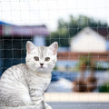 Cat Balcony Net Cat Anti-Fall Fence Net Dog Fence Nets Transparent Nylon Pet Mesh Fence Anti-Fall Netting for Balcony Window Stairs Netting for Balcony Window Stairs（1020ft, 10 * 20ft