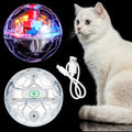 Sratte 2 Pcs Rechargeable Cat Ball Ghost Hunting Light up Cat Balls Toys Motion LED Motion Activated Flash Glowing Lighted Dog Interactive Toys Pet (Clear)