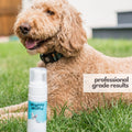 Mighty Mutt Hypoallergenic Waterless Dog Shampoo