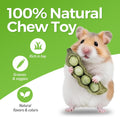 TEEWY Guinea Pig Toys, Prevent Teeth Overgrowth, Natural Vegetables and Timothy Grass, Hamster Chew Toys, Guinea Pig Che