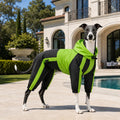 Pet Apparel Large Dog Clothing Raincoat Pet Clothes Rain Coat For Big Large Dogs Red Green Waterproof (L-XS, Green)