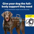 PetSafe CareLift Dog Lift Harness, Full Body