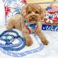 The Lucy & Co. Blueberry Twist Ombre Blue Hands-Free 6-in-1 Rope Leash