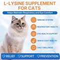 WEALLIN L-lysine Supplement for Cats, Immune Support for Cats, Support for Feline Respiratory, Sneezing, Runny Nose, Eye Function, Helps Strengthen Natural Defenses, Chicken Flavor (1PC)