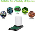 500ml Cricket Reptiles Water Feeder Reservoir Keeper, 2-in-1 Automatic Water Dispenser with Unique Sponge Pad Design for