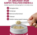 Cat Kidney Support Powder – Renal Health & Kidney Function Support for Cats – Probiotics, Astragalus & Cordyceps – Suppo