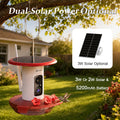 Smart Hummingbird Feeder with Camera 5G WiFi, 3K, Solar Leakproof