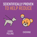 Sentry Pet Care Stop that! Behavior Correction Spray for Dogs