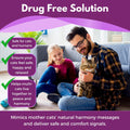 (Compatible with All Common Diffuser Heads) Cat Pheromone Diffuser Refill - 4 Pack Pheromones Refills - 4 Months Supply 