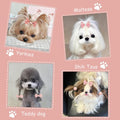 FGISAR 20 Pcs Small Dog Hair Bows with Rubber Bands Handmade Puppy Hair Bows Cute Grooming Flower Ball Bowknot Top Knot Dog Hair Accessories Hair Ties for Yorkie Maltese Pet (Pink)