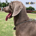 SGODA Chain Dog Training Choke Collar, Total Length 20 in, 2.5 mm