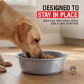 Loving Pets Dolce Luminoso Dog Bowl, Non-Skid Plastic Bowl