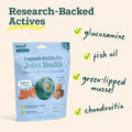WOOF Hip & Joint Pupsicle Refill Pops - Dog Supplement for the Pupsicle Toy to Support Joint Health, Recovery, and Mobility - Large Pops